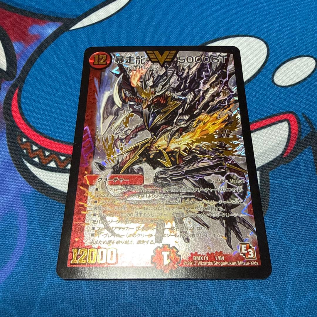 暴走龍 5000GT ライオット5000GT E3 初期 4枚