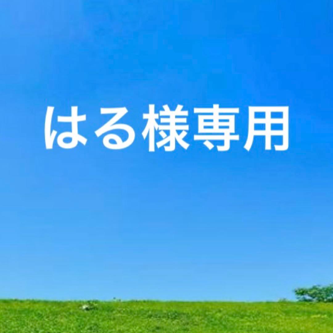 極美品IL BISONTEイルビゾンテ　レザーがま口三つ折り財布　チョコ　濃茶