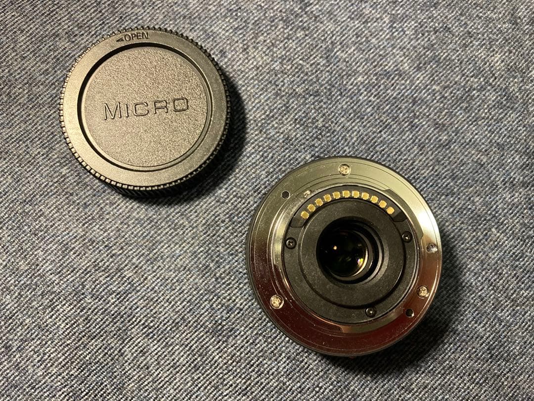 パナソニック LUMIX G 14mm/f2.5+ワイコン DMW-GWC1