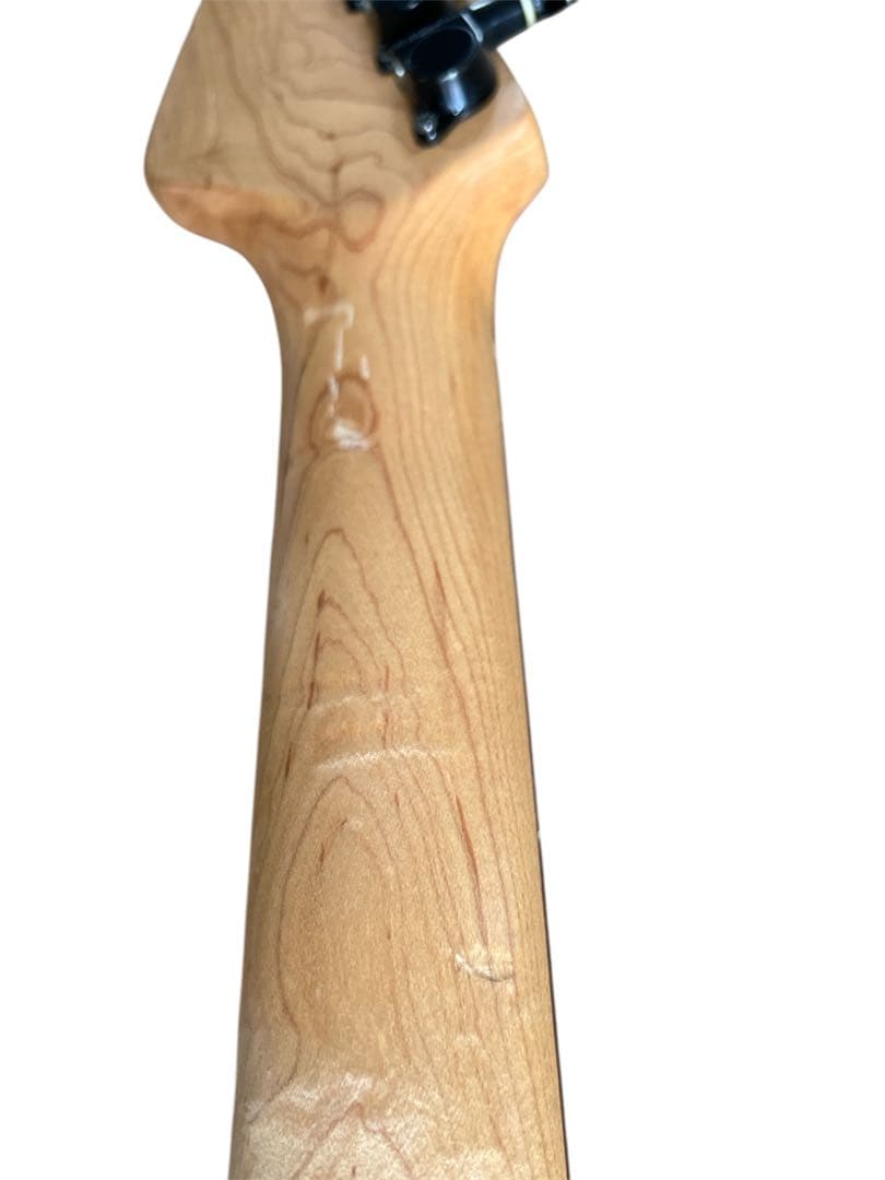 エレキギター FERNANDES