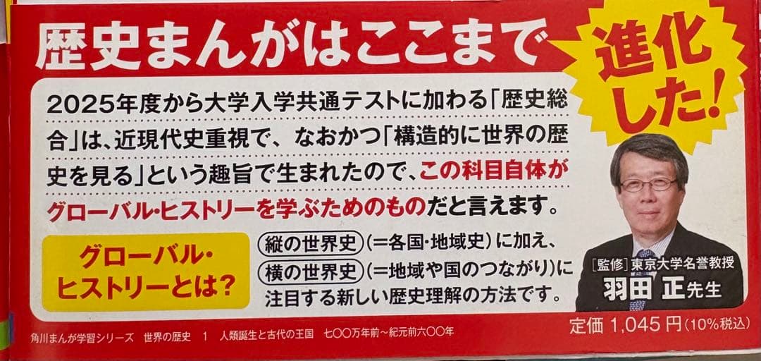 角川まんが学習シリーズ 世界の歴史 3大特典つき全20巻+別巻1冊セット