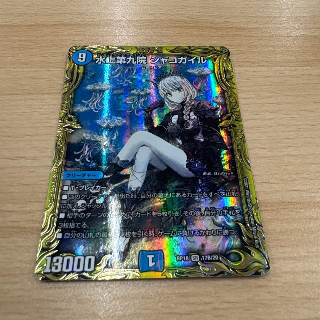 水正第九院 シェコガイル B