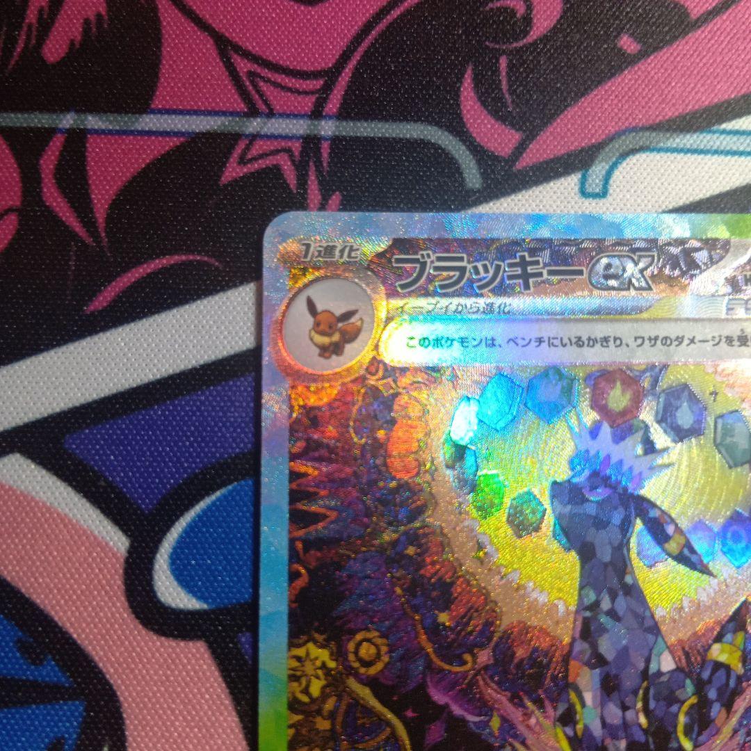 値段交渉可　完美品 ブラッキーex SAR　217/187