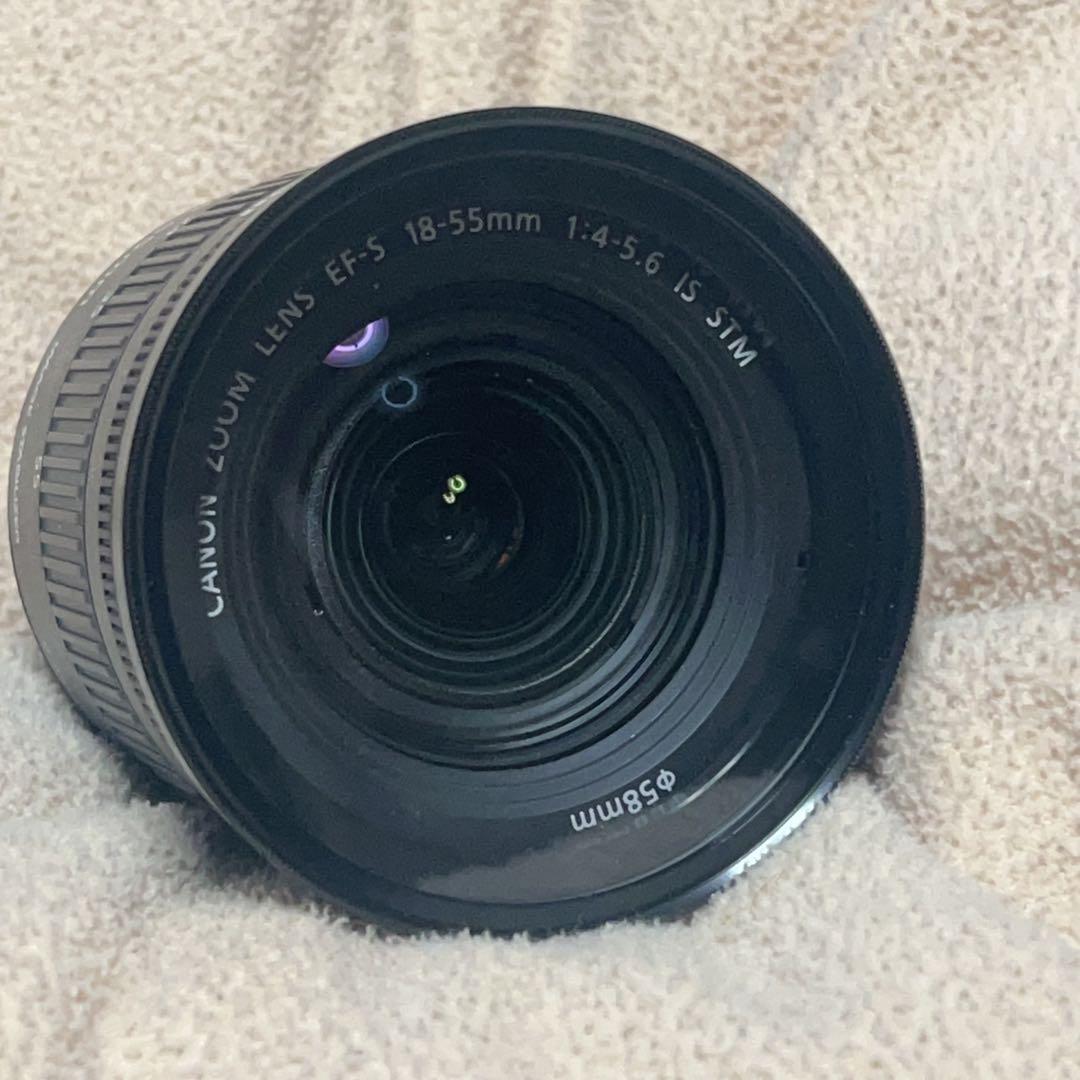 キャノン Canon ズームレンズ 18-55 Nishiブラックミスト1/4