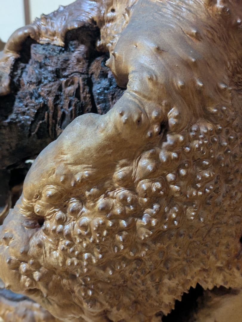 ユニークな木製アートオブジェ