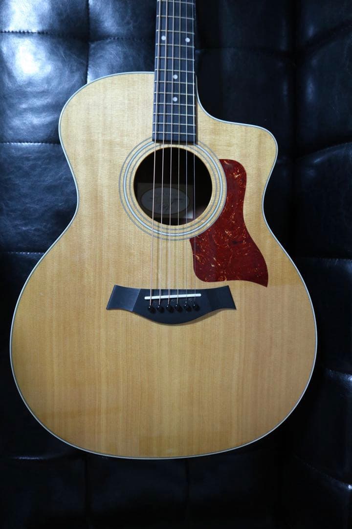 【送料込み】Taylor 214ce ES2 エレアコ 本革ストラップ ケース