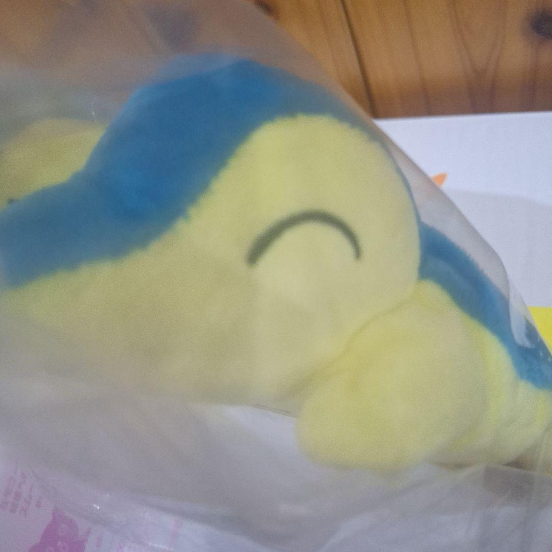 タグ付き　ポケモンセンター　くったり　ヒノアラシ　ぬいぐるみ　セット
