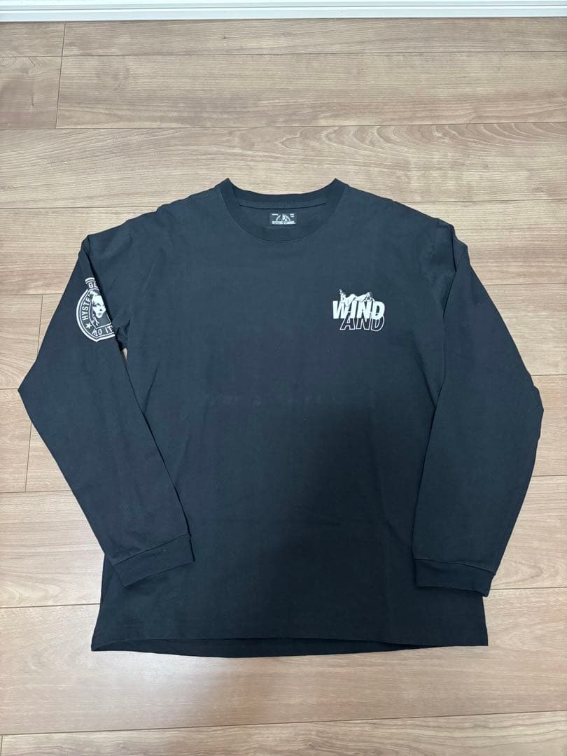 希少 状態よし　 wind and sea × ヒステリックグラマー ロンT