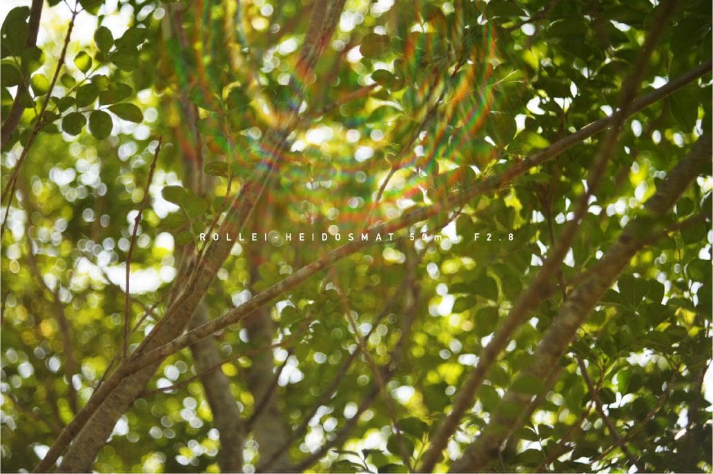 ROLLEI-HEIDOSMAT 50mm F2.8 ローライ M42マウント