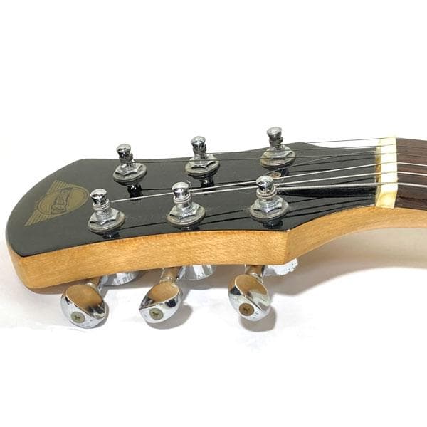 Pignose ピグノーズ PGG-200 アンプ内蔵エレキギター