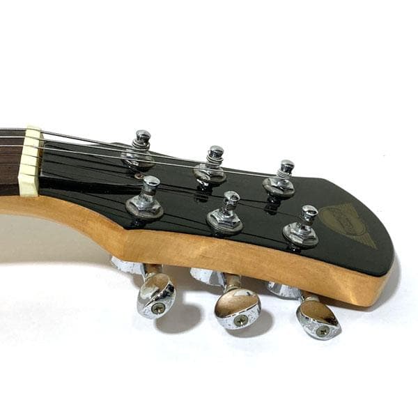 Pignose ピグノーズ PGG-200 アンプ内蔵エレキギター