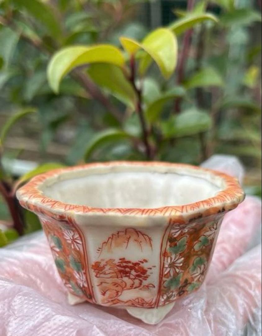 平安佑泉　盆栽鉢　ミニ盆栽　豆鉢