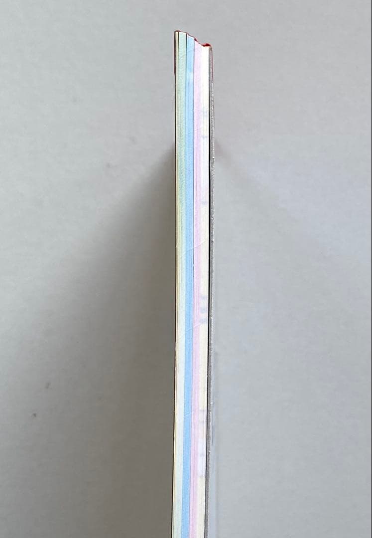 ちびはむちゃ。　メモ帳　メモ　サンエックス　ハムスター　平成レトロ　ちびはむちゃ