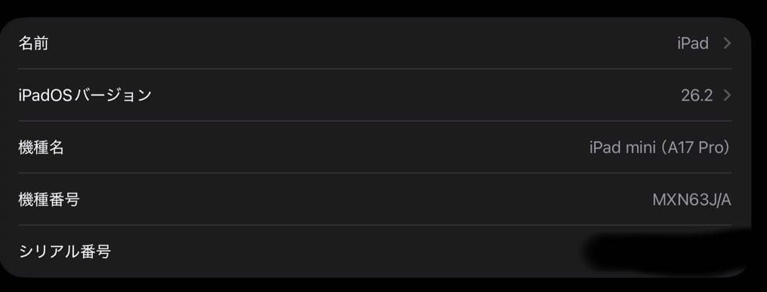 iPad mini (A17-Pro) 128GB 第7世代　スペースグレイ