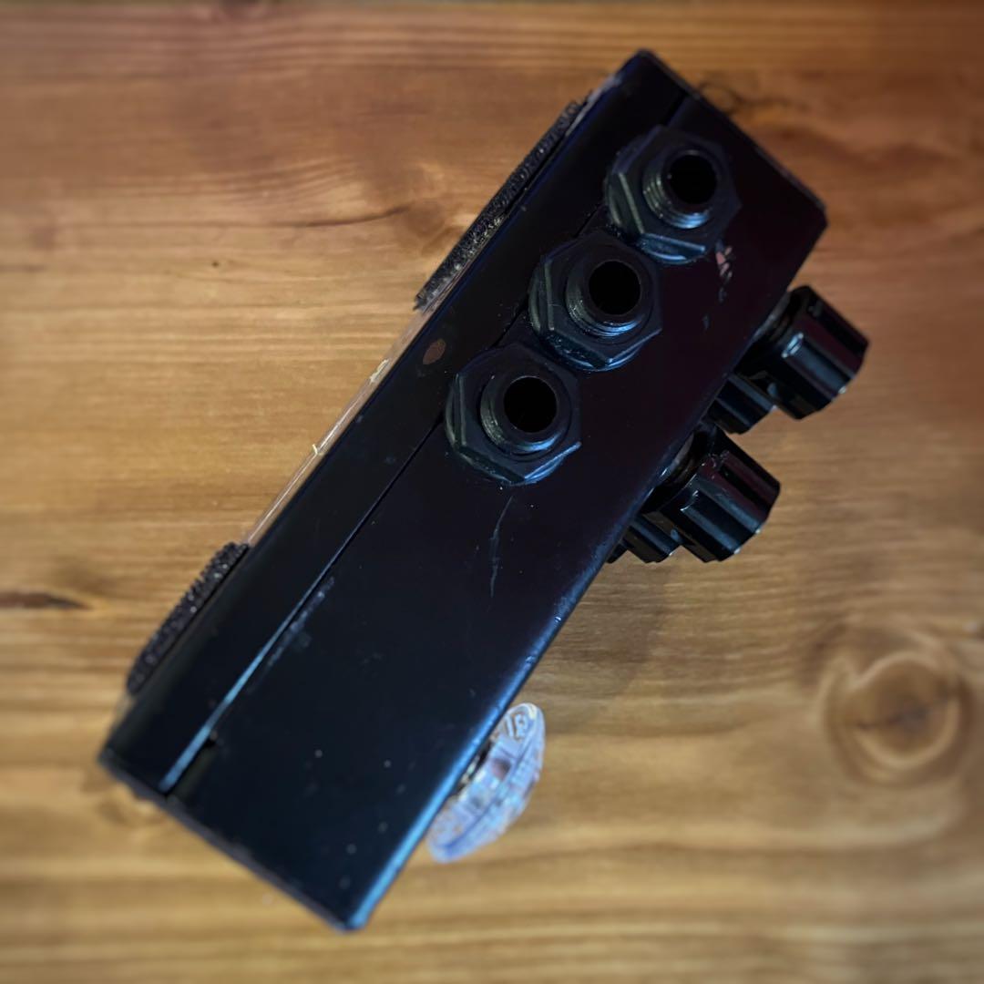 ギター AMT Electronics D2