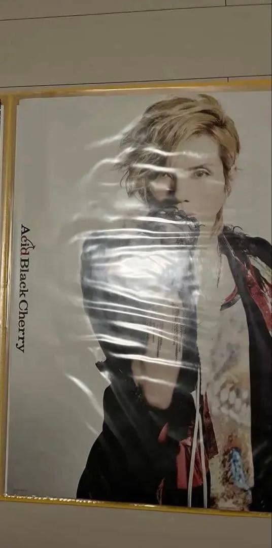 バンドポスターまとめ売り(ポスターファイル付)