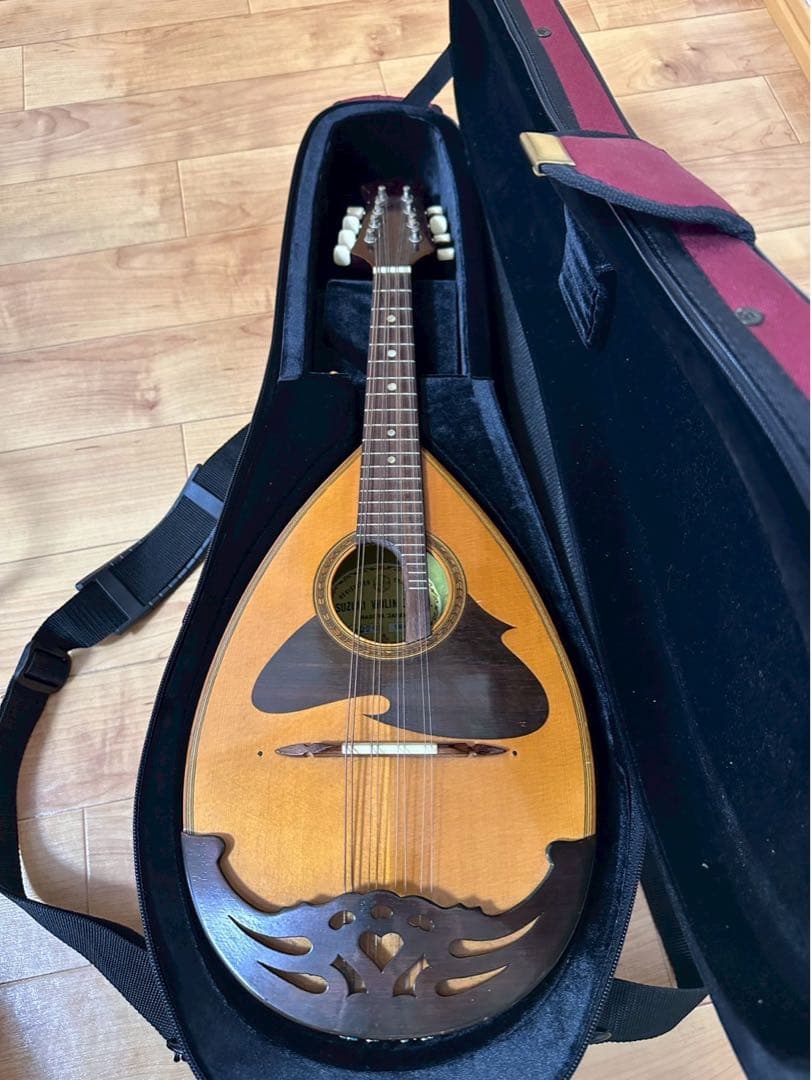 ケース極美品✨ スーパーライトマンドリンケース スズキ バイオリンNO.226