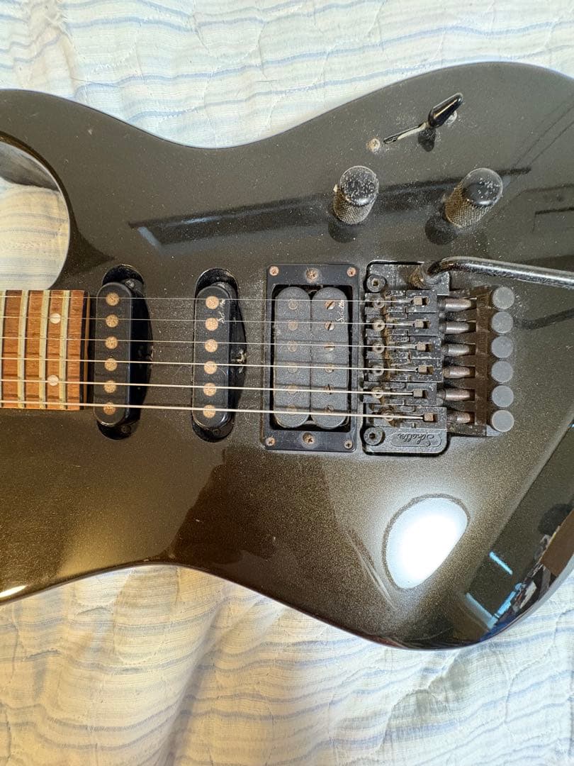 Roden エレキギター ブラック