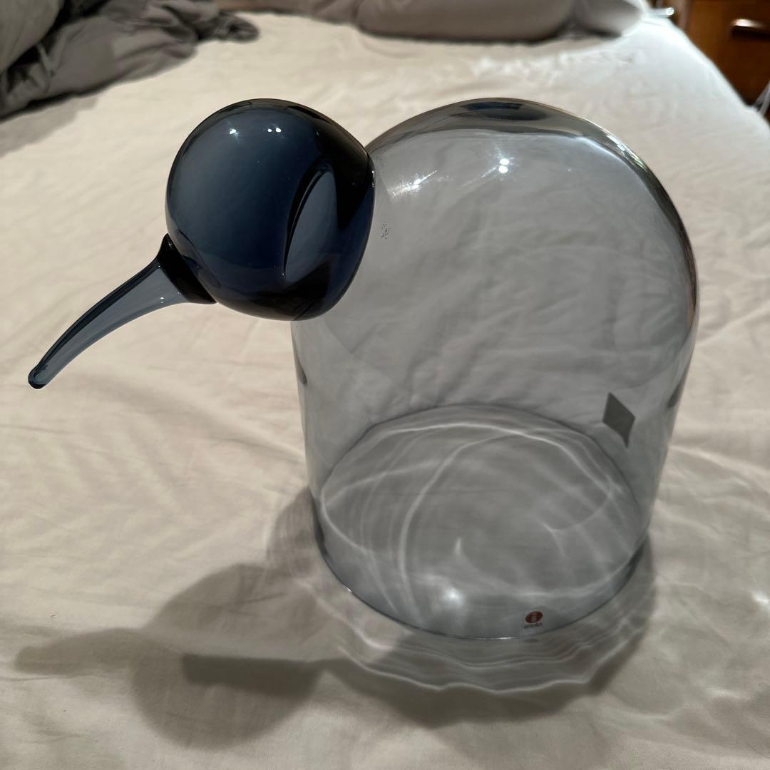 イッタラ　バード　Anna レイン　美品　箱あり