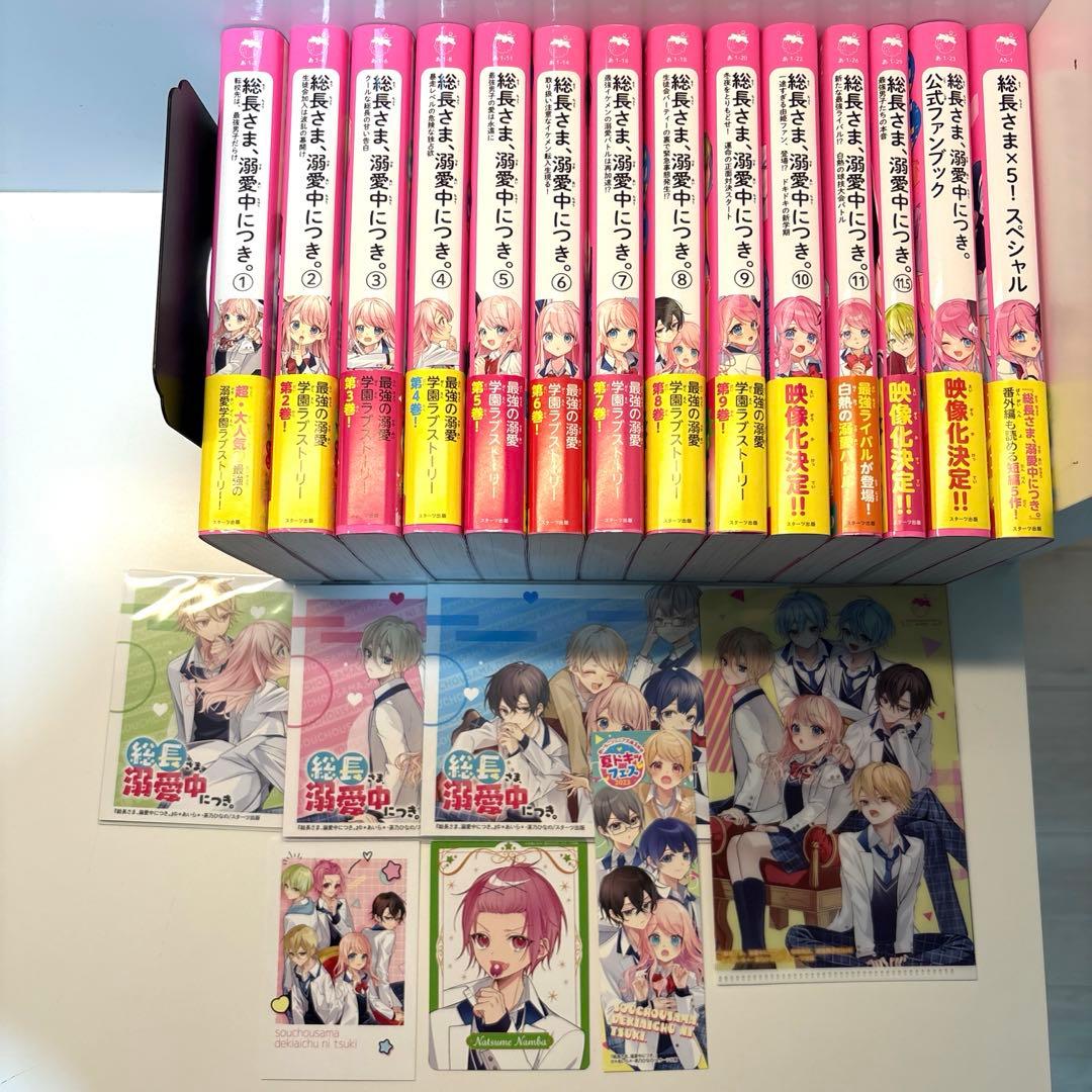 『総長さま、溺愛中につき。』14巻セット✩特典付き✩