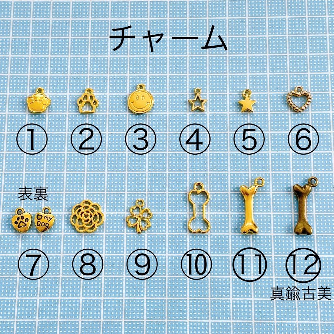 【オーダー窓口】ペット用迷子札チョーカー　長さ調整可能タイプ