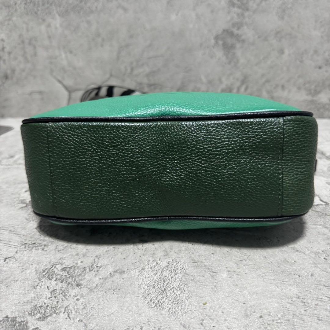 未使用級✨️コーチ カメラバッグ ショルダーバッグ 2層 レザー ゼブラ グリーン