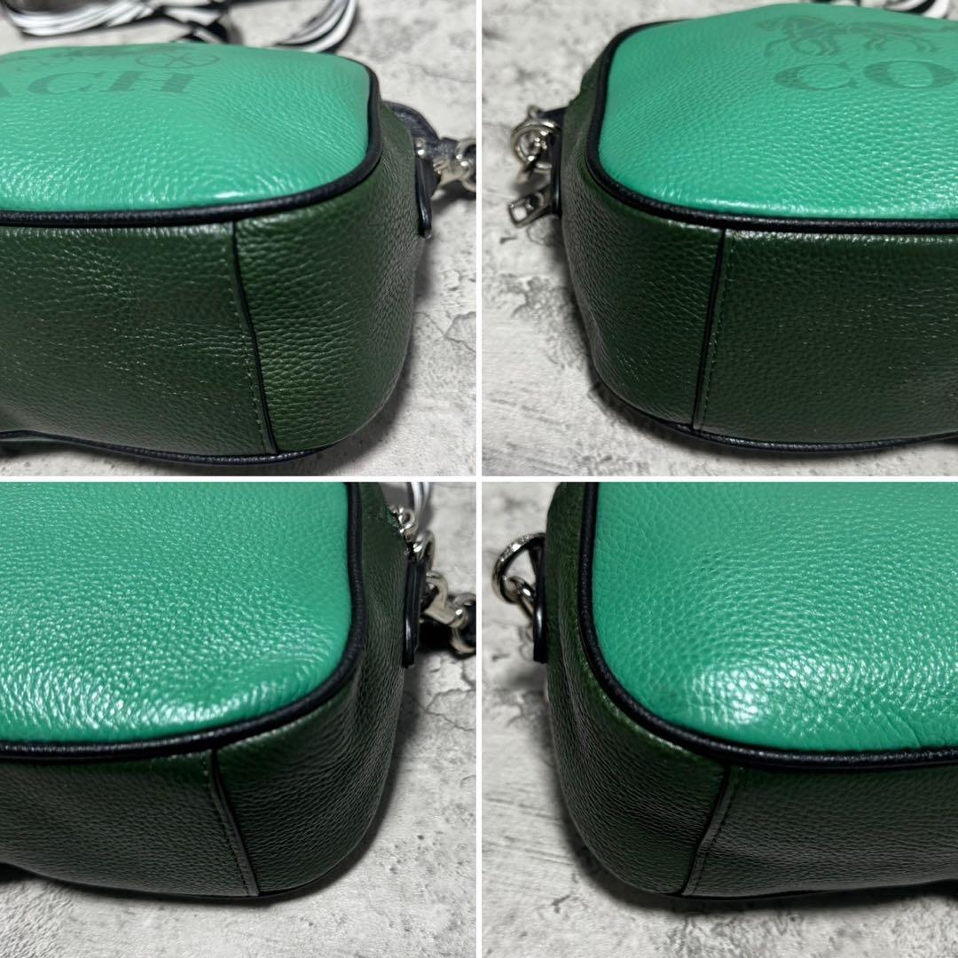 未使用級✨️コーチ カメラバッグ ショルダーバッグ 2層 レザー ゼブラ グリーン
