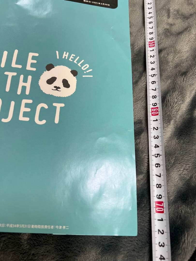 楓浜 アドベンチャーワールド　誕生記念ポスター72×51cm 白浜市配布非売品