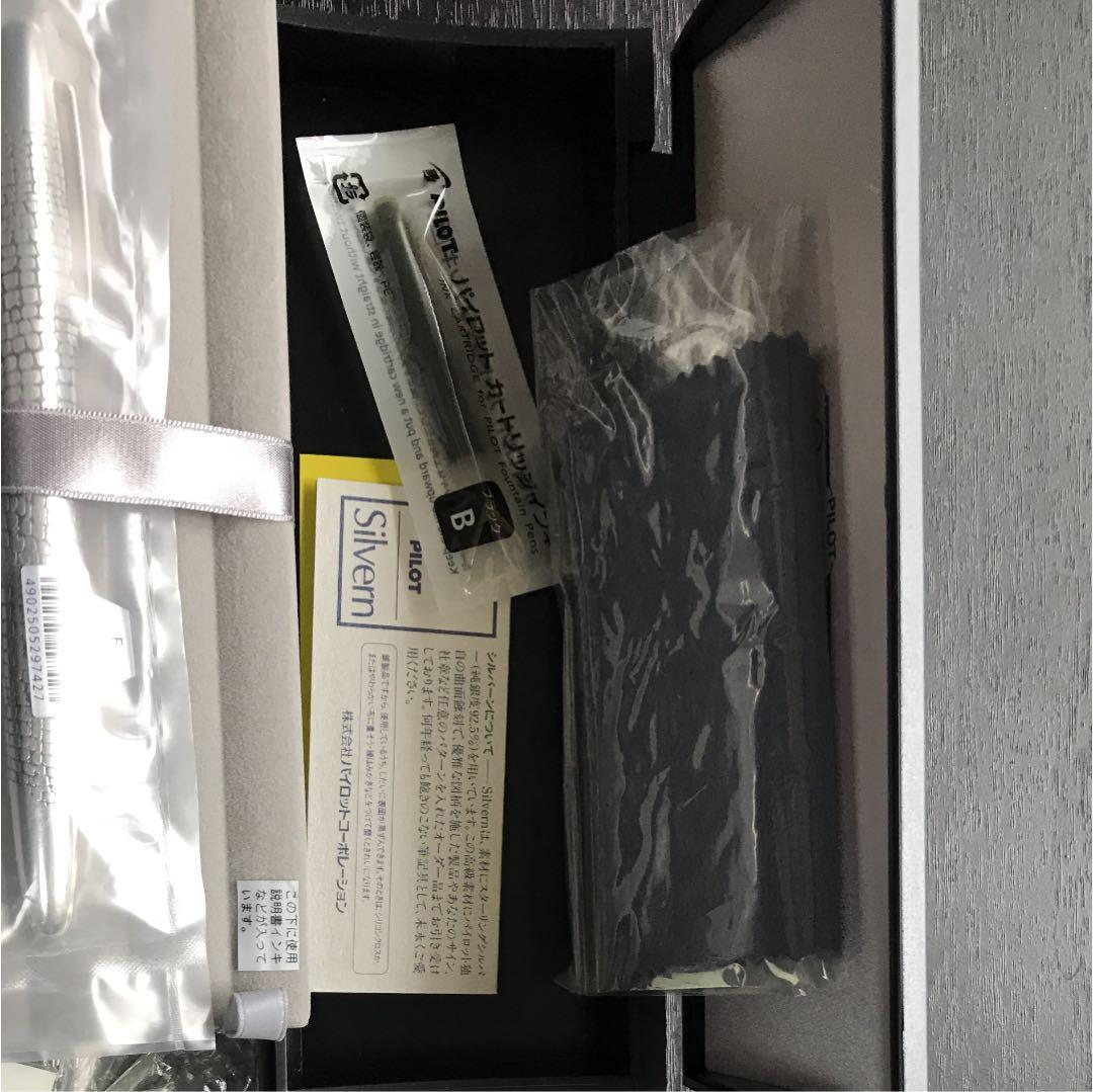 パイロットシルバーン石だたみ万年筆 細字 FK-5MS-ID-F