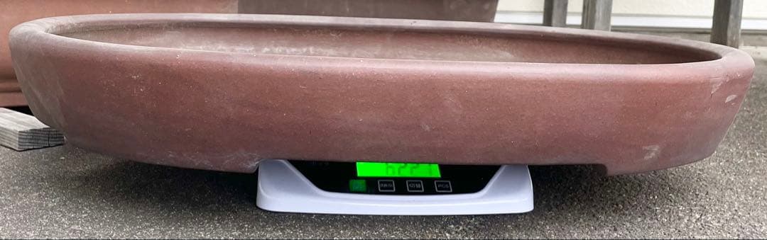 盆栽　鉢　60cm　大型　特大　常滑焼　松泉焼　山秋