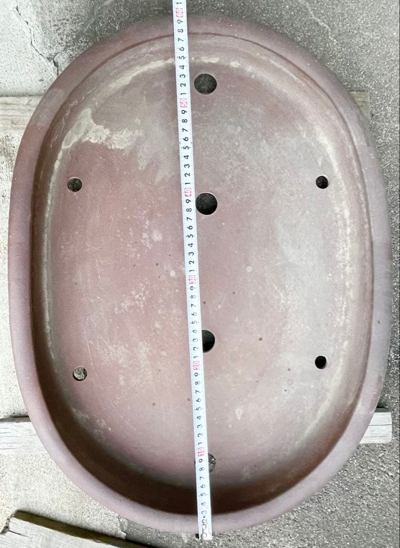 盆栽　鉢　60cm　大型　特大　常滑焼　松泉焼　山秋