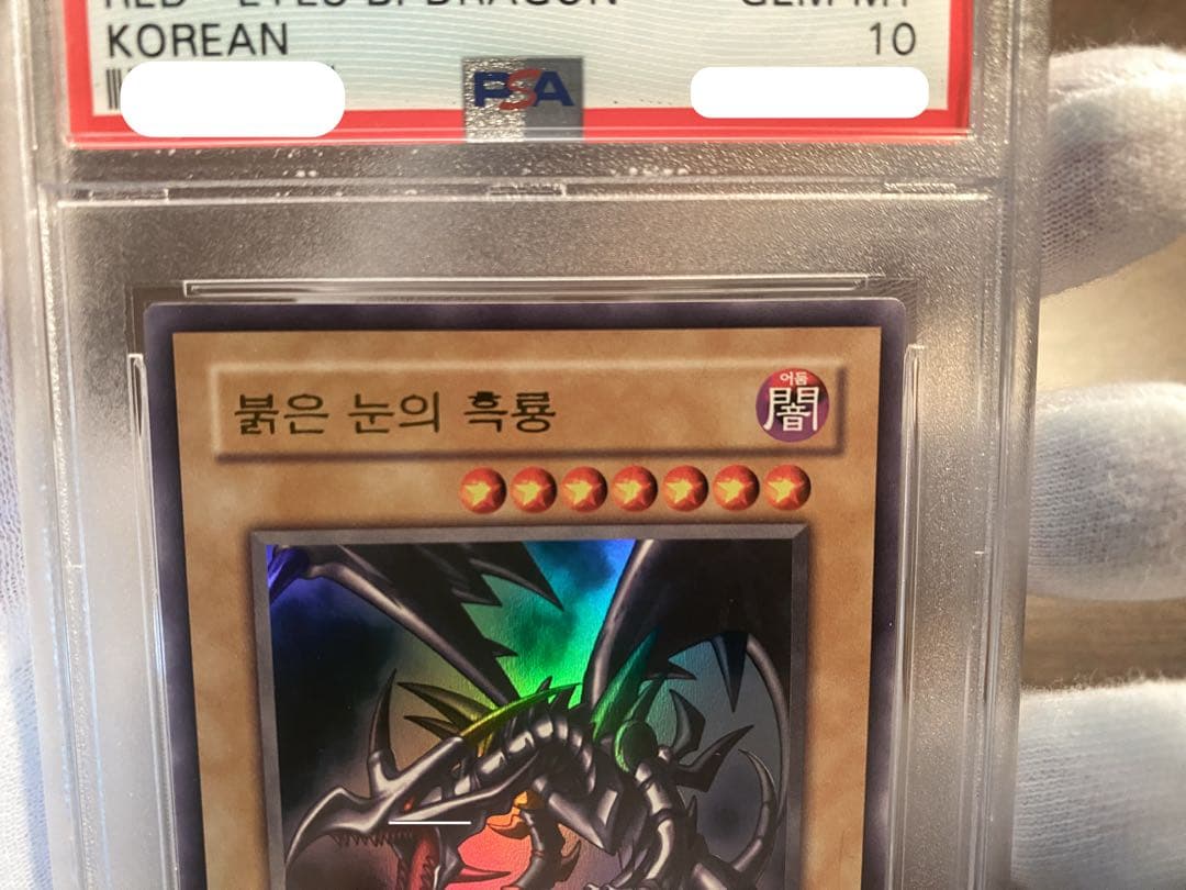 【極美品】PSA10 lob 初期 真紅眼の黒竜　レッドアイズ 韓国 遊戯王