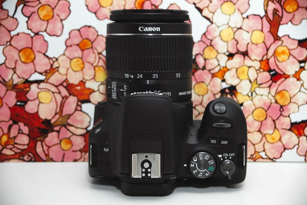 ❤️超コンパクト❤️キヤノン Canon kiss X9❤️レンズセット❤️