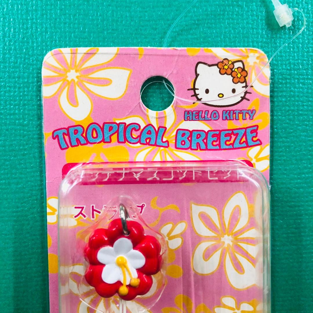 2002年製 激レア★ハローキティ アンテナマスコットセット ラナ①