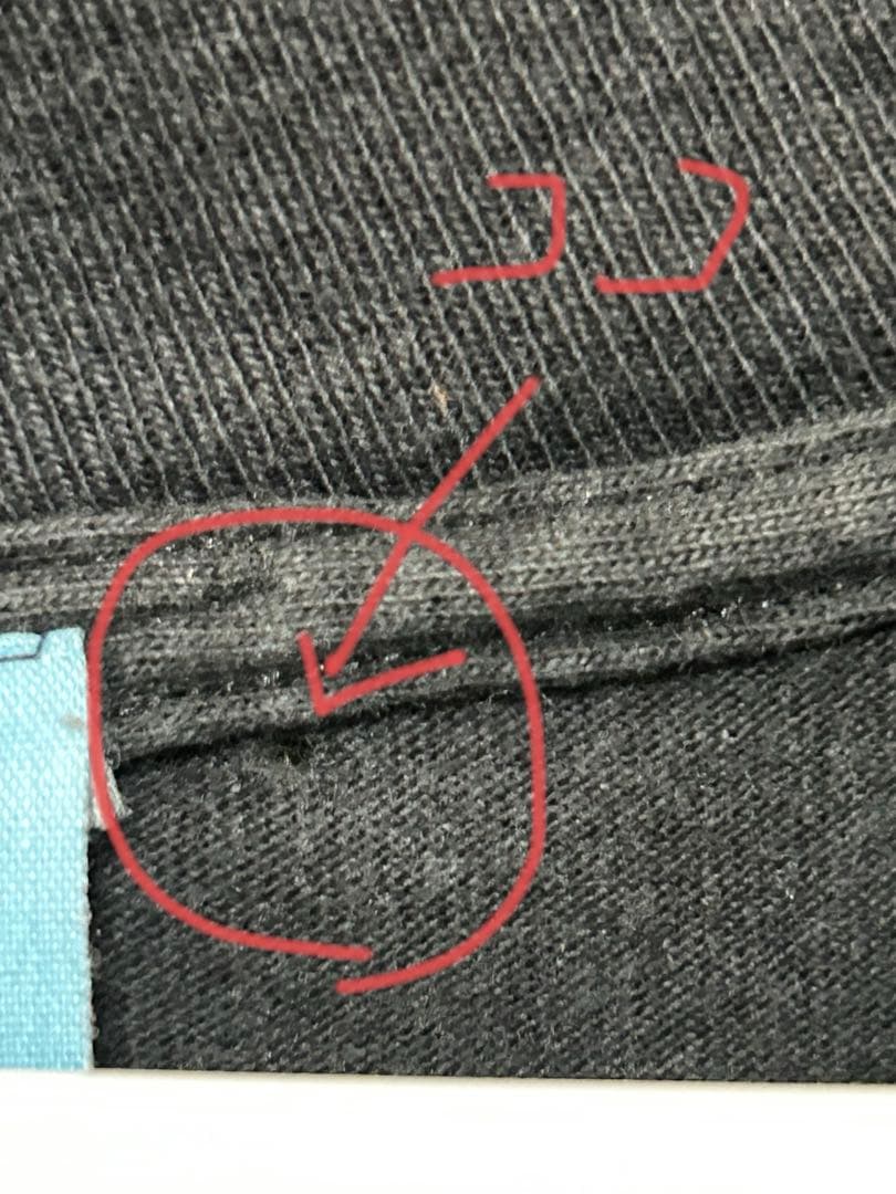 カラス 【激レア】【最終値下げ】 MISFITS ビンテージTシャツ