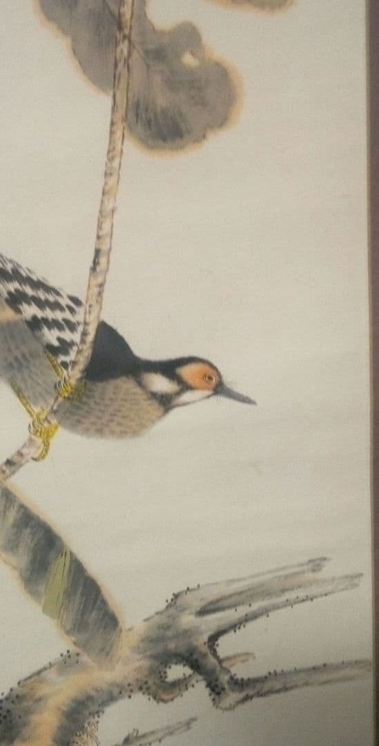 小杉放庵直筆紙本掛け軸共箱付き(題名霜の河雀)