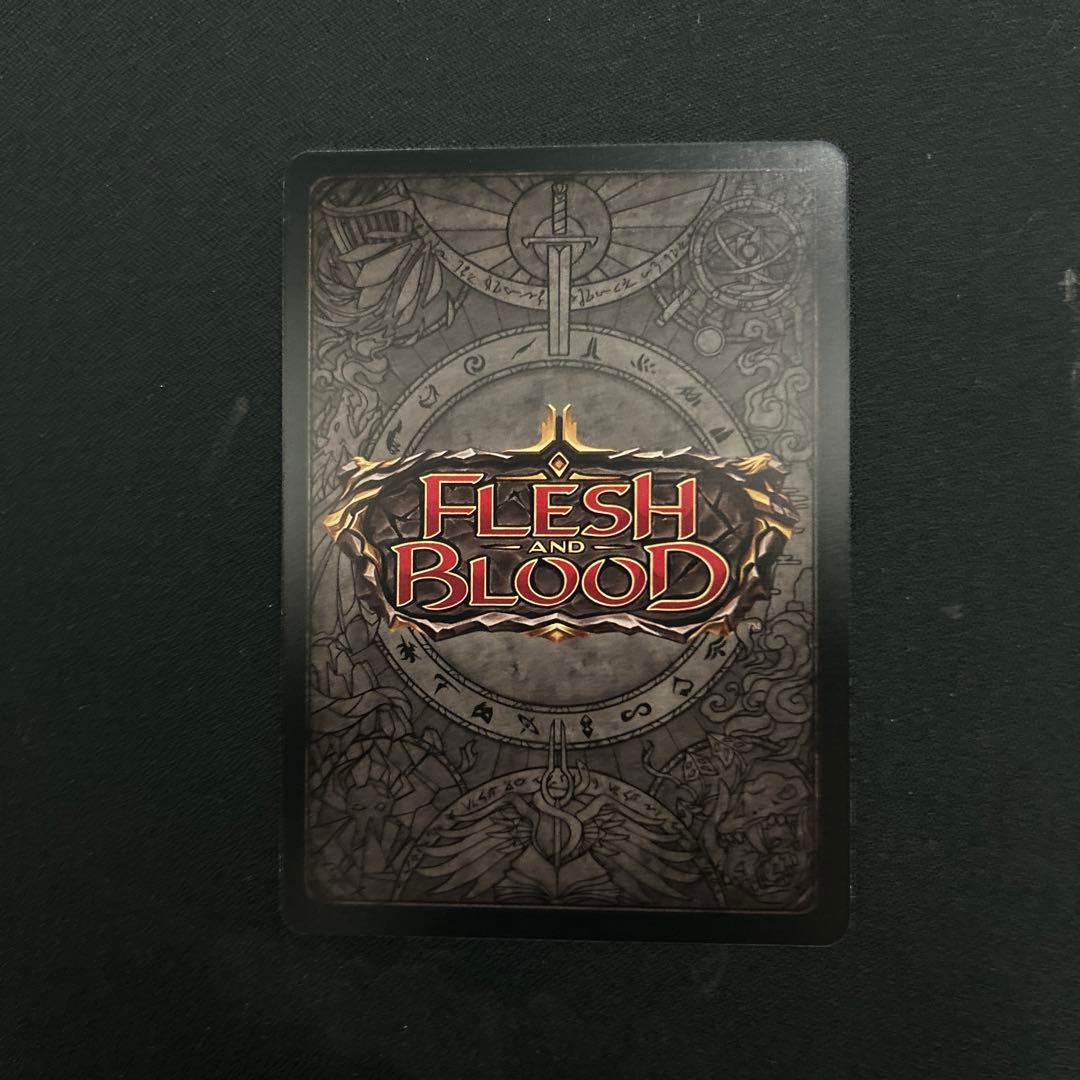 フィエンダルの春のチュニック　FAB 日本語