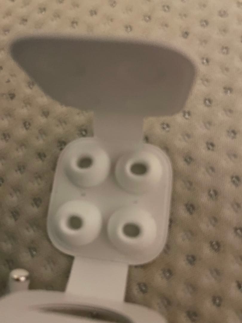 AirPods Pro 本体 ホワイト イヤーチップ付き