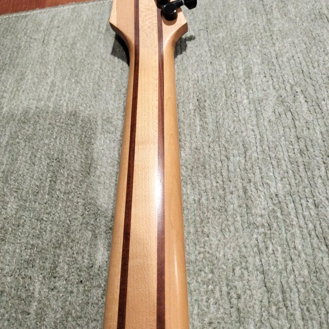 Ibanez RGシリーズ RG7321 ブラック