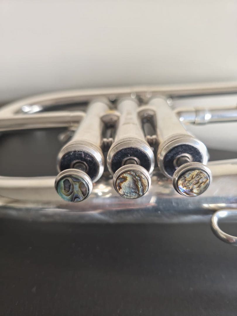 もっトン さん専用売約済み J.Michael フリューゲルホルン