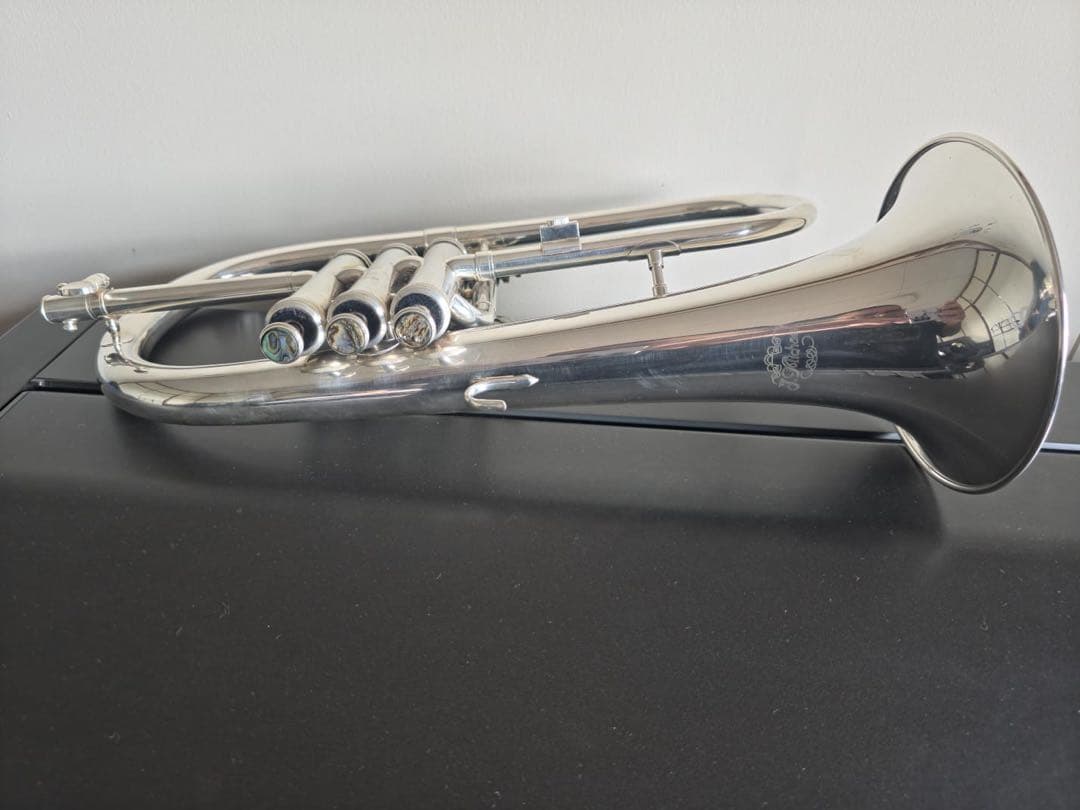 もっトン さん専用売約済み J.Michael フリューゲルホルン