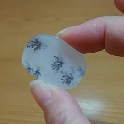 テンドリチッククォ一ツ/テンドリティッククォ一ツ