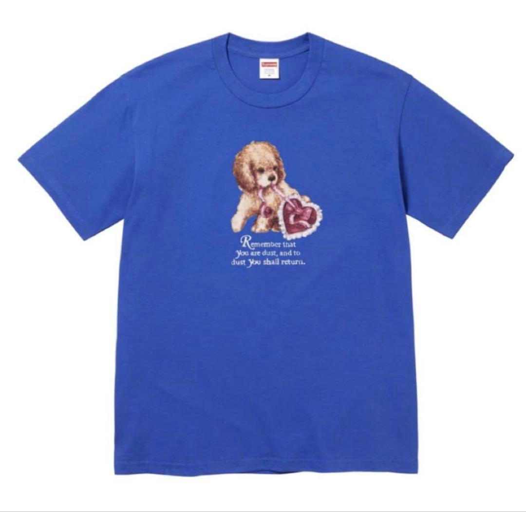 25aw Supreme Dust tee tシャツ L 青　ブルー