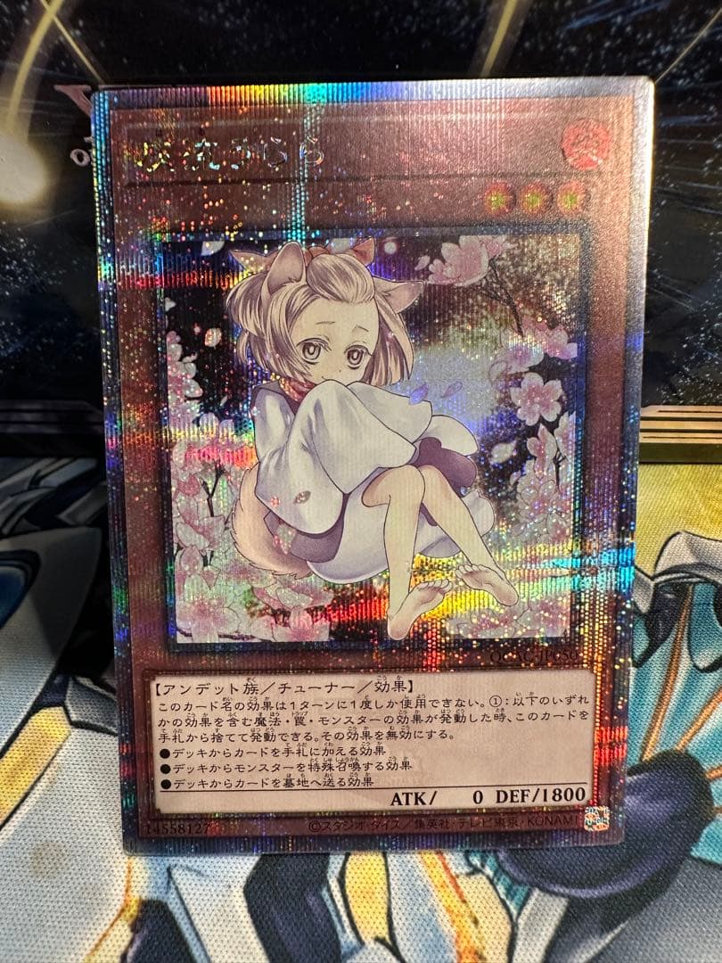 遊戯王　灰流うらら 25th クオシク 絵違い