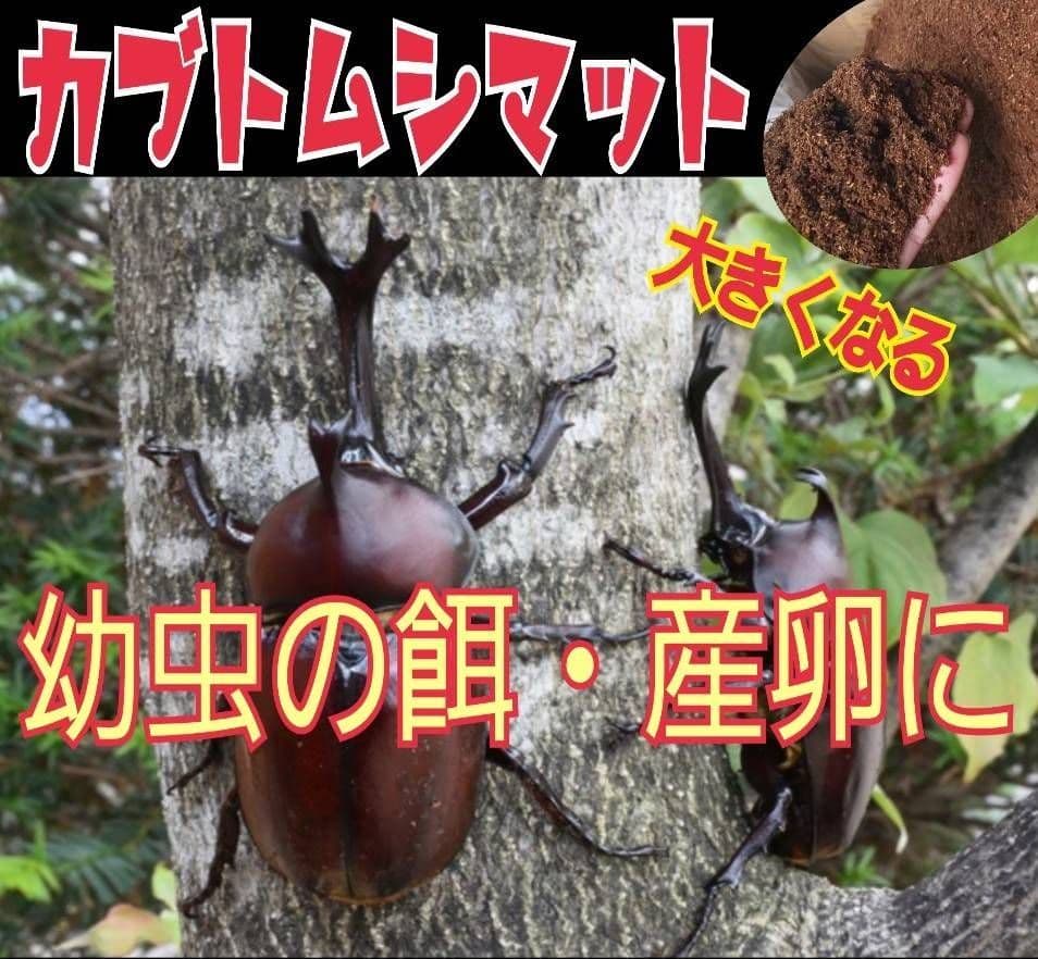 カブトムシ幼虫が大きくなる！栄養たっぷり！発酵マット【6袋】雑虫が湧きません！