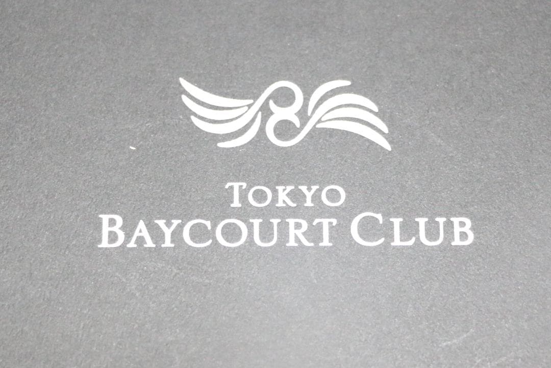 超貴重　アウロラ（AURORA）スターリングシルバー９２５　ボールペン 未使用