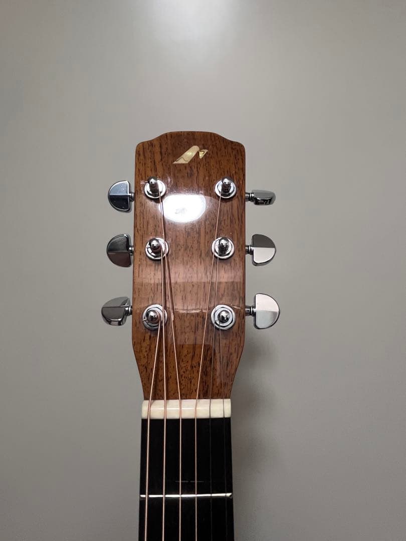 MORRIS M-80 LTD オール単板　値下げ中