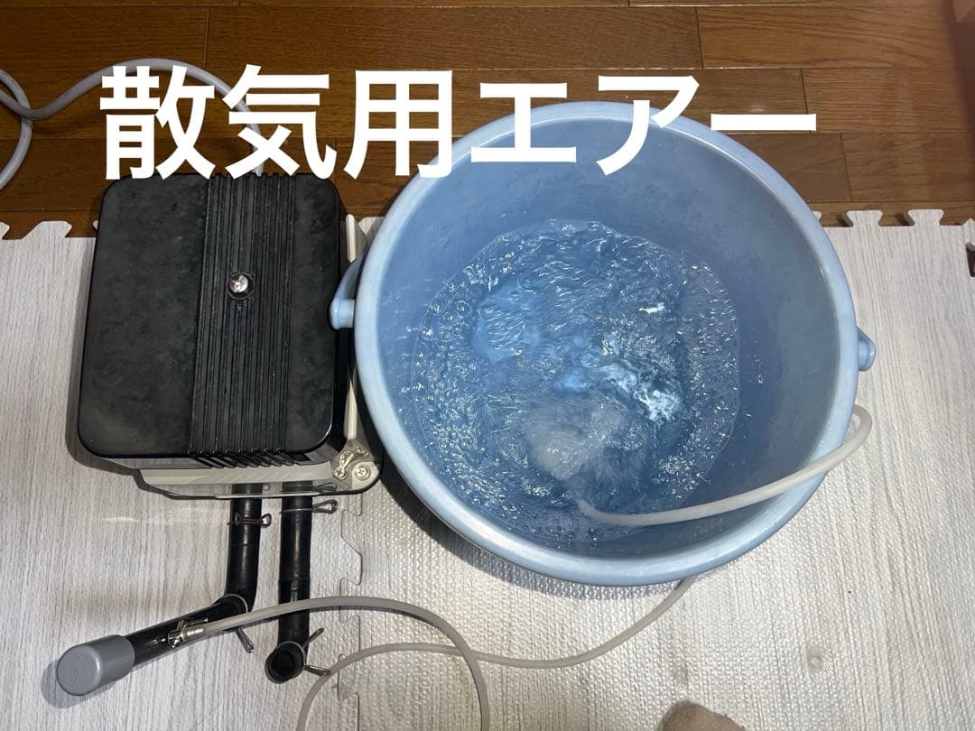 超美品‼︎早い者勝ち！これ以上値下げしません‼︎安永エアポンプ　EP-80G-L