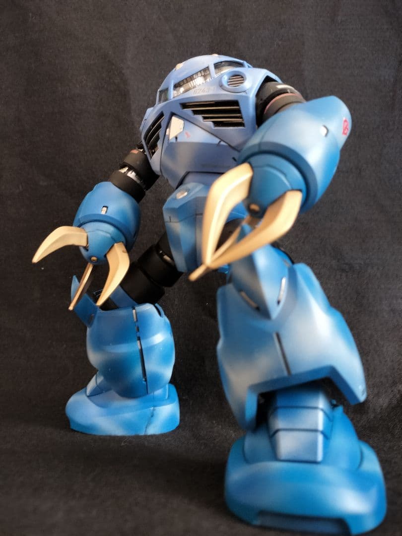 MG ズゴック 塗装完成品