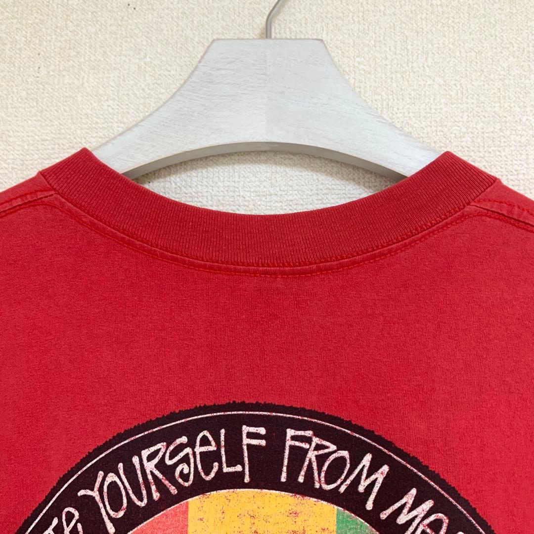 80s 前期 STUSSY USA製 黒タグ ラスタ ライオン Leo Tシャツ